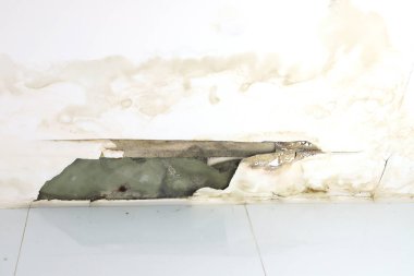 Eski beyaz tavan panelleri su lekesi, mantar, küf, evdeki su borularının hasarlı ya da yağmurlu olması ev temizleyicisi sorunu ve su sızdıran çatı onarım hizmeti için sızdırılmış. 