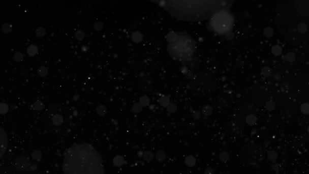 Esinti Arkaplan Döngüsünde Esen Parçacıklar Siyah Bir Zemin Üzerinde Hafif — Stok video