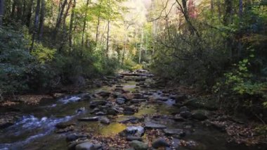 Flying up Tree Lined South Carolina River 4K features a view from a drone flying up a river in the northern mountains of South Carolina.