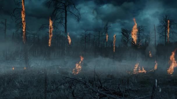 Burning Trees Storm Clouded Sky Zeigt Eine Verbrannte Fläche Eines — Stockvideo