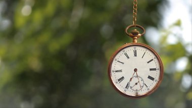 Pocket Watch on Chain Time 'da arka planda rüzgarda savrulan yapraklı altın zincirli bir cep saati var..