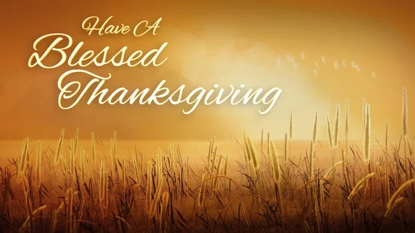 Blessed Thanksgiving Harvest Fields Features Wheat Field Mist Sunlight Text — Stock Photo, Image