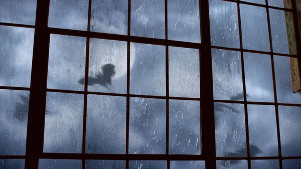 Gruseliger Fledermaushimmel Vor Dem Alten Fabrikfenster Bietet Einen Blick Aus — Stockfoto