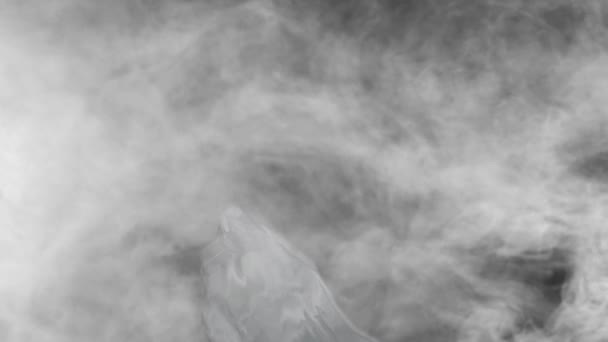 Fantasmas Fundo Nevoeiro Loop Apresenta Nevoeiro Fumegante Rolando Com Formas — Vídeo de Stock