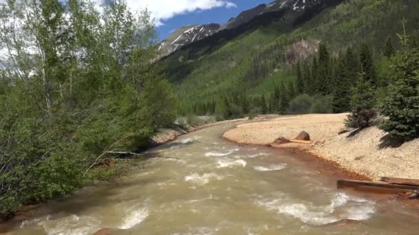 Static View Stream Ouray Colorado Features Large Stream Flowing Contributing — Stock Video