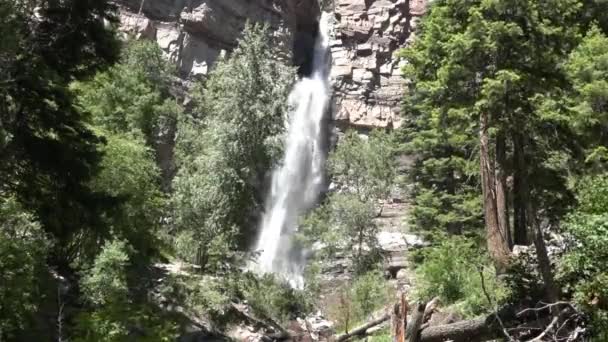 Static View Cascade Falls Trees Ouray Colorado Apresenta Uma Vista — Vídeo de Stock