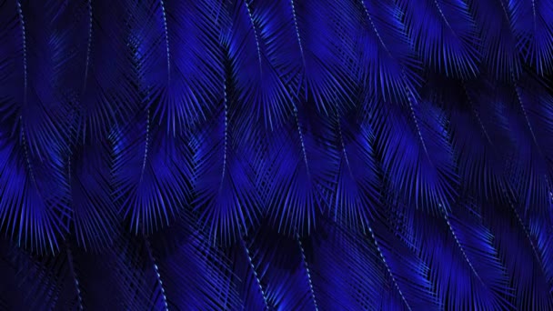 Feathers Blue Color Flock Together Loop Obsahuje Tři Vrstvy Modře — Stock video