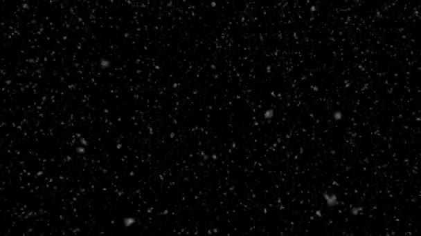 Sneeuw Zachtjes Vallen Een Zwarte Achtergrond Loop Voorzien Van Sneeuw — Stockvideo