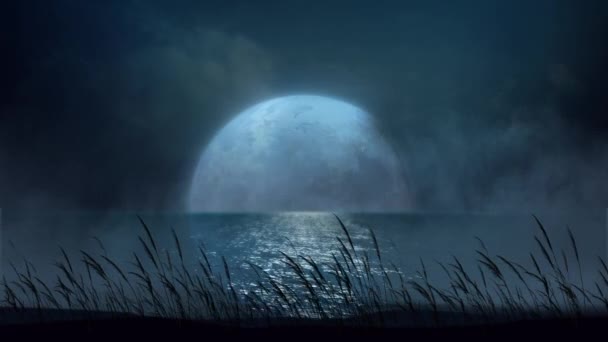 Strand Grass Silhouette Blowing Full Moon Night Loop Har Scen — Stockvideo