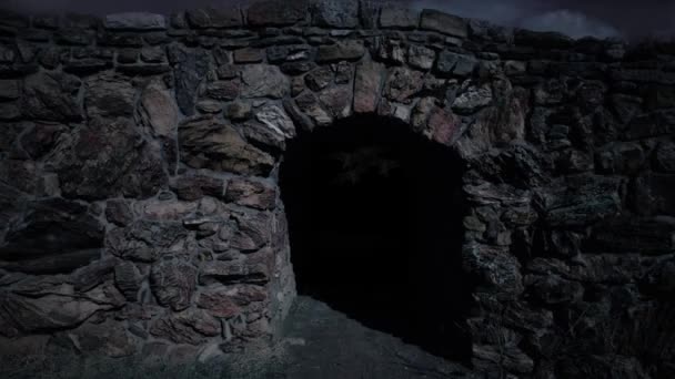 蝙蝠追逐无人机从石隧道飞出4K环路 拍摄了无人驾驶飞机从隧道飞出的镜头 蝙蝠在超现实的月光下在隧道后面飞舞 呈淡淡的黑色回圈 — 图库视频影像
