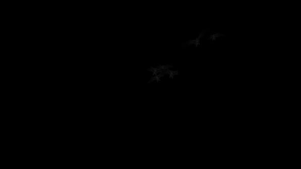 ダーク4Kループの外に飛ぶ現実的なバットは ループ内の暗闇から勃起して飛ぶコウモリを特徴としています — ストック動画