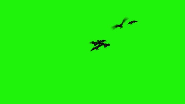 リアルなバット タワービューアグリーンスクリーン4Kループは ループ内の緑色のスクリーンに対して空から噴出するコウモリを備えています — ストック動画