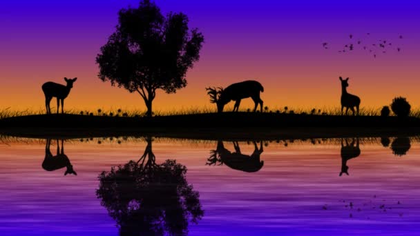 日落岛 Sunset Island Silhouette 有野生动物4K环 其特色是岛的轮廓 岛上有动画鹿群 草群和落日落后的树木 水在循环中微微移动 — 图库视频影像
