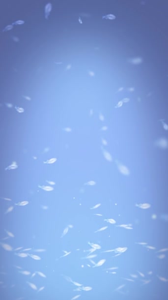 Vertical Swirling White Feathers Blue Atmosphere Apresenta Penas Brancas Girando — Vídeo de Stock