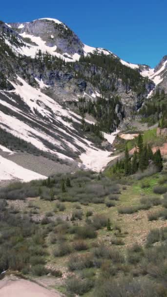 Ouray Colorado 근처의 Mountain Pass를 통과하는 비행은 Ouray Colorado 근처의 — 비디오