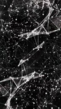 Siyah Işıklar 'da dikey Plexus White 4K döngüsünde siyah bir atmosferde sürüklenen beyaz çizgiler ve dikey oranda oynayan ışıklar vardır..