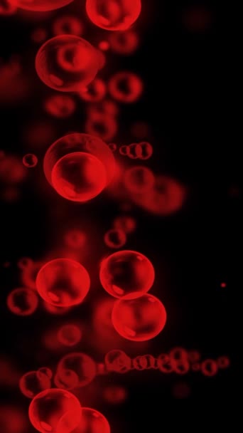 Vertical Red Bubbles Black Background Loop Apresenta Bolhas Vermelhas Aparecendo — Vídeo de Stock