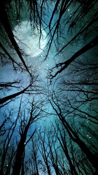 垂直の月光と雪の木4Kは 満月を眺め 雲を動かし 垂直の比率で視聴者に向かって雪が落ちるシルエットされた木の枝を通して空に向かって見えます — ストック動画