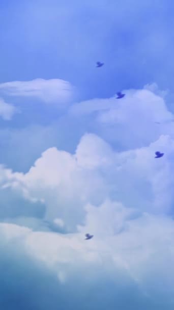 在云彩中垂直飞行的鸟群4K环中 鸟儿在天空中飞翔 云彩以垂直比例环向相反的方向移动 — 图库视频影像