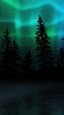 Dikey Aurora Borealis Işıkları Çam Ormanı Silueti 4K Döngü üzerinde, Aurora Borealis tarzı ışıkların arkasında dikey oran döngüsü içinde yükselen su yansıması ve buharı olan bir çam orman silueti içerir..
