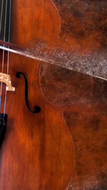 Vertikal Cellomusik Partiklar Bakgrund Loop Har Stillbild Cello Med Färgade — Stockvideo