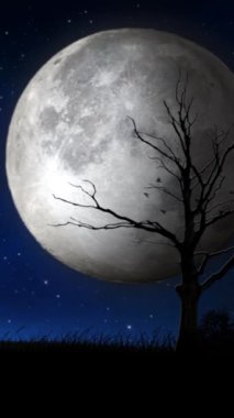 Dikey Dolunay Gecesi Gökyüzü Silueti 4K Döngüsü dolunay ve ölü bir ağaç ve kuşların dikey oran döngüsünde uçtuğu çim siluetiyle yıldızlı bir gece gökyüzü içerir..
