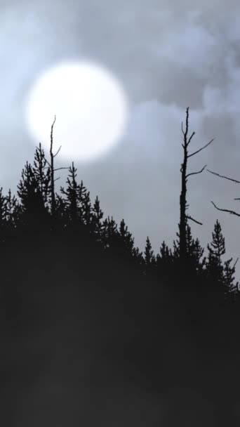 Vertical Forest Hill Silhouette Hazy Sun Clouds Loop Features Clouds — Stockvideo