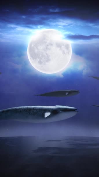 Vertical Whales Swimming Sky Background Features Whales Swimming Sky Earth — Vídeo de Stock