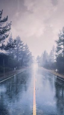 Pines 4K döngüsünde dikey Yağmurlu Yol, arka planda dikey oran döngüsü içinde hareket eden bulutlarla dolu yağmurda geniş bir karayoluna sahiptir..