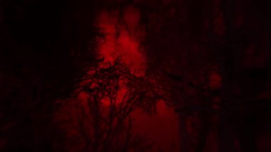 Perili Orman Silueti ve Yarasa 4K döngüsü, gökyüzünde kırmızı bir parıltı ve dolunay ve ekranda uçan yarasalarla bir orman silueti boyunca dönen bir görüntüyü yansıtıyor..