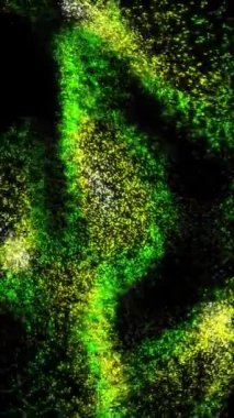 Dikey Yeşil Kireç Sarı Parçacık Dokunaçları 4K Döngü, dikey oran döngüsünde siyah bir arkaplan üzerinde hareket eden ve hareket eden sarı parçacıklara gradyan yeşili içerir..