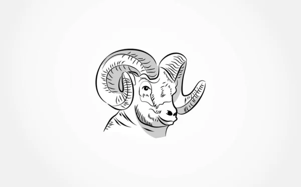 Sheep Head Vector Illustration — Stock Vector