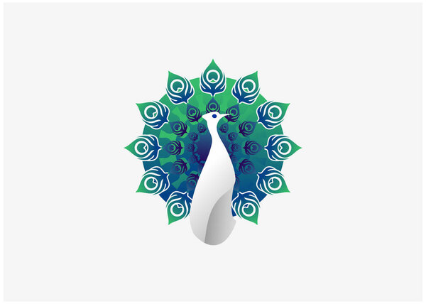 peacock blue and green logo vector illustration abstract, usable for logo design