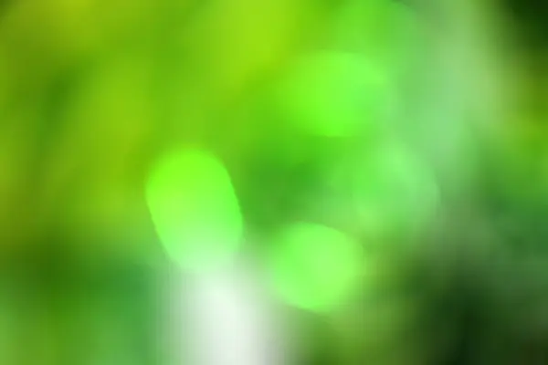 Verwischte Grüne Blätter Des Baumwaldes Natur Des Grünen Blattes Garten — Stockfoto