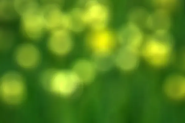 여름에 정원에서 자연적인 녹색은 페이지 벽지로 사용하여 식물을 남깁니다 — 스톡 사진