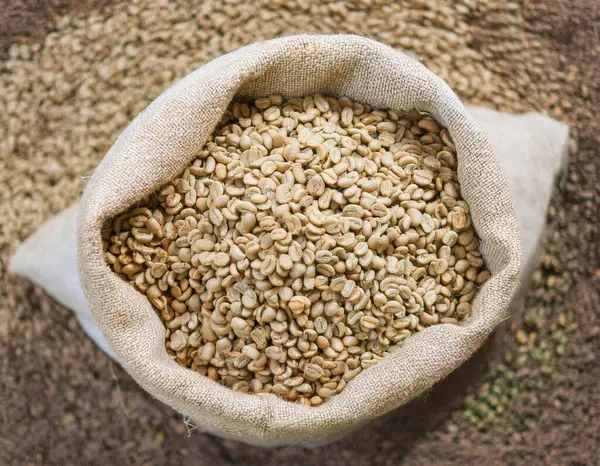 Firefly AI oluşturuldu