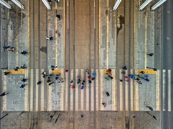 Manufaktura Polonya 'daki Kırmızı Tuğla Endüstriyel Binasının Modern Cam Yapısı Bulutlu Bir Gün' de Kompleksin Park ve Kamu Alanlarına Bakıyor