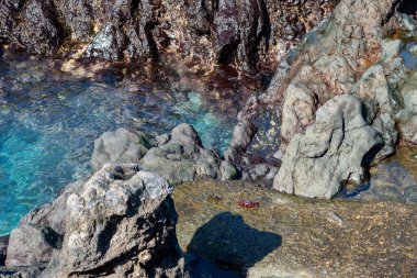  Tenerife denizindeki kayalar. Kanarya Adaları. İspanya. Güneşli bir günde