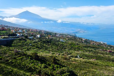 Arka planda Teide volkanı ve deniz kenarında Puerto de la Cruz şehri ile Tenerife 'nin kuzeyinin panoramik manzarası. Kanarya Adaları. İspanya Güneşli bir günde