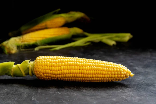 Uszy Świeżego Słodkiego Żółtego Kukurydzy Ciemnym Tle Banda Dojrzałych Złotych — Zdjęcie stockowe