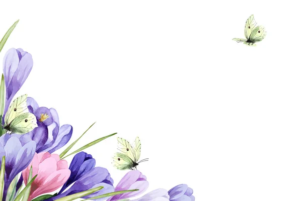 stock image Corner frame of fantasy purple and pink crocus flowers with leaves and yellow lemongrass butterflies isolated on a white background. Hand drawn watercolor illustration. Copy space.