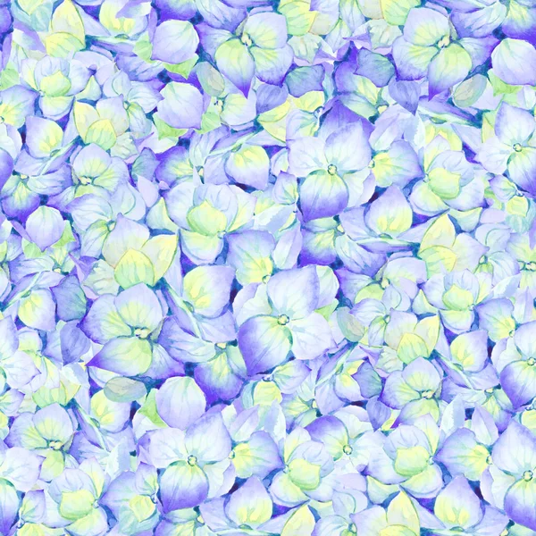 Seamless Floral Pattern Blue Yellow Hydrangea Botanical Flower Background Hand — Stock Photo, Image