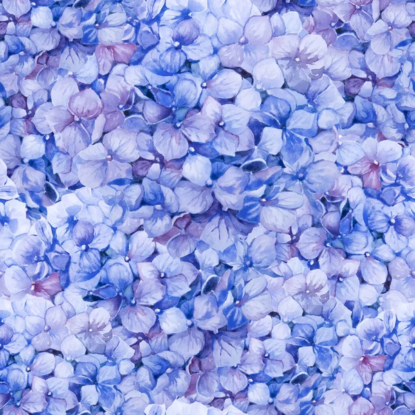 Бесшовный Цветочный Узор Голубой Гортензии Ботанический Цветочный Фон Ручная Рисованная — стоковое фото