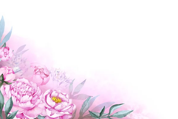 Güzel pembe şakayık çiçeklerinin köşesinde yeşil yapraklar ve beyaz arka planda izole edilmiş pembe sis var. El çizimi suluboya çizimi. Boşluğu kopyala.