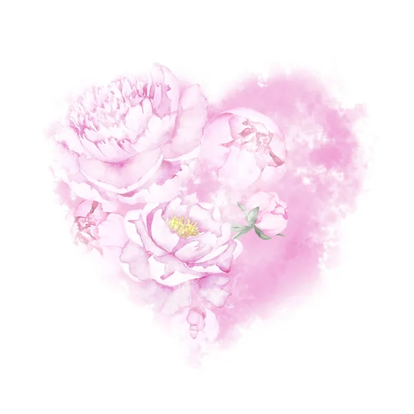 Piękna Figura Serca Wykonana Różowych Kwiatów Piwonii Różowej Mgły Odizolowana — Zdjęcie stockowe