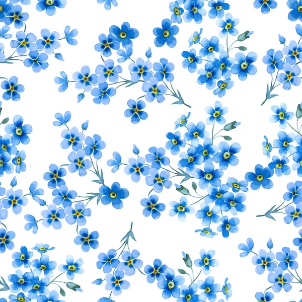 Bezszwowy Kwiatowy Wzór Pięknych Niebieskich Nie Zapominających Mnie Kwiatów Odizolowanych — Zdjęcie stockowe