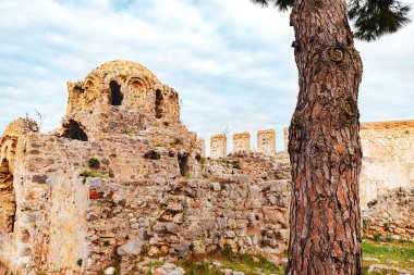 The castle of Alanya, Turkey. Old ancient ruins of historic building, wall and a tree trunk in foreground. Selective focus.