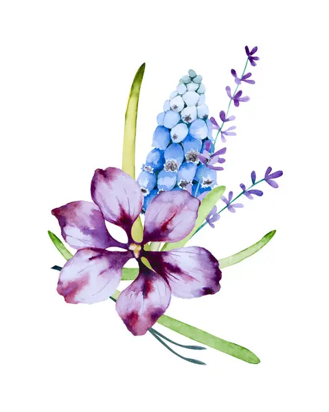 Beautiful bouquet of blue muscari flowers, purple fantasy flower, leaves and herbs. Floral composition isolated on white background. Watercolor hand drawn illustration.