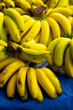 Meyve ve sebze pazarında olgunlaşmış sarı muzlar. Sağlıklı organik yiyecekler. Dikey çekim. Seçici odaklanma. Bulanık arkaplan.