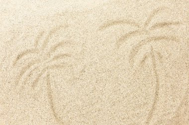 Aydınlık Kum Arkaplanı ve Palmiye Ağacı Çizimi.